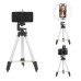 Комплект: Штатив TriPod 3120 + Кільцева лампа 26 см
