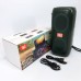 Портативна колонка TG333 2x5W з підсвічуванням RGB, акумуляторна колонка для музики. Колір: зелений